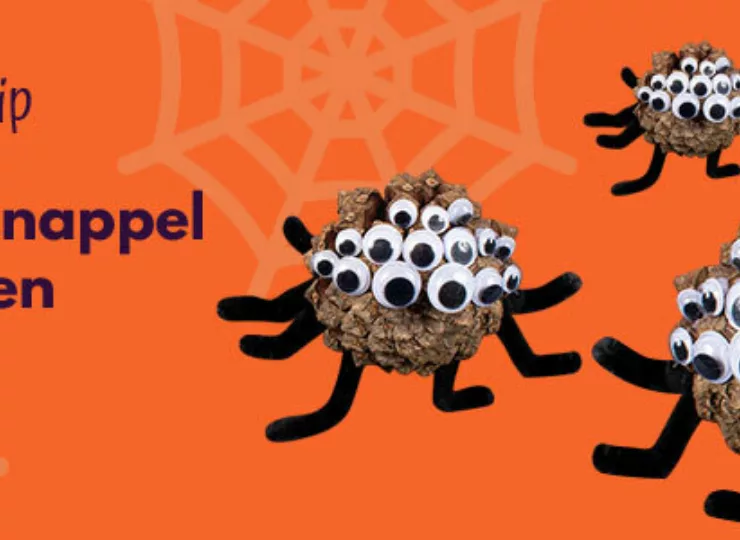 Halloween Knutseltip Dennenappel Spinnen